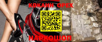 прущие грибы Кандалакша