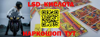 прущие грибы Кандалакша