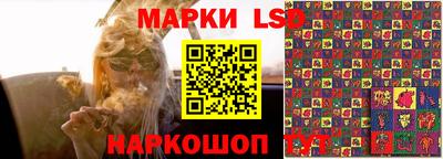 прущие грибы Кандалакша