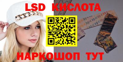 прущие грибы Кандалакша