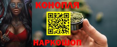 прущие грибы Кандалакша