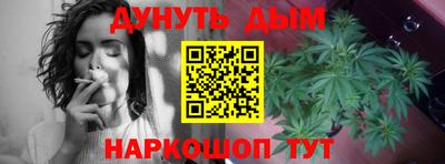 прущие грибы Кандалакша