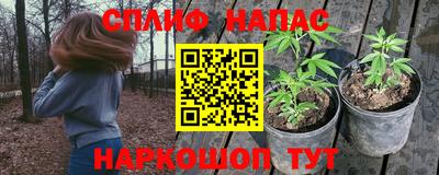 прущие грибы Кандалакша