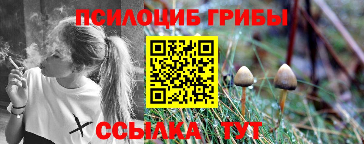Кулебаки  даркнет сайт  Вход с VPN  Псилоцибиновые грибы MAGIC MUSHROOMS 