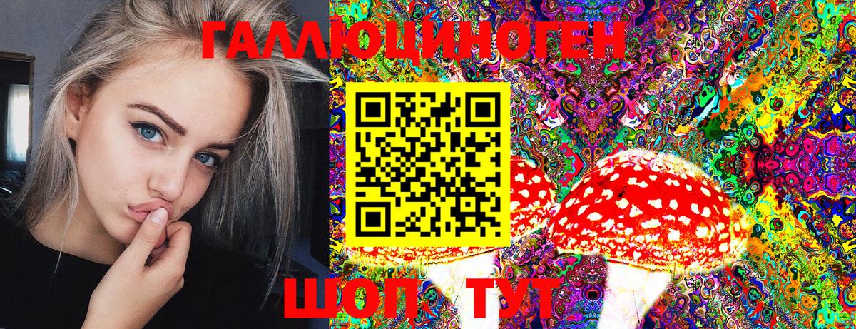 Галлюциногенные грибы Psilocybine cubensis Кулебаки